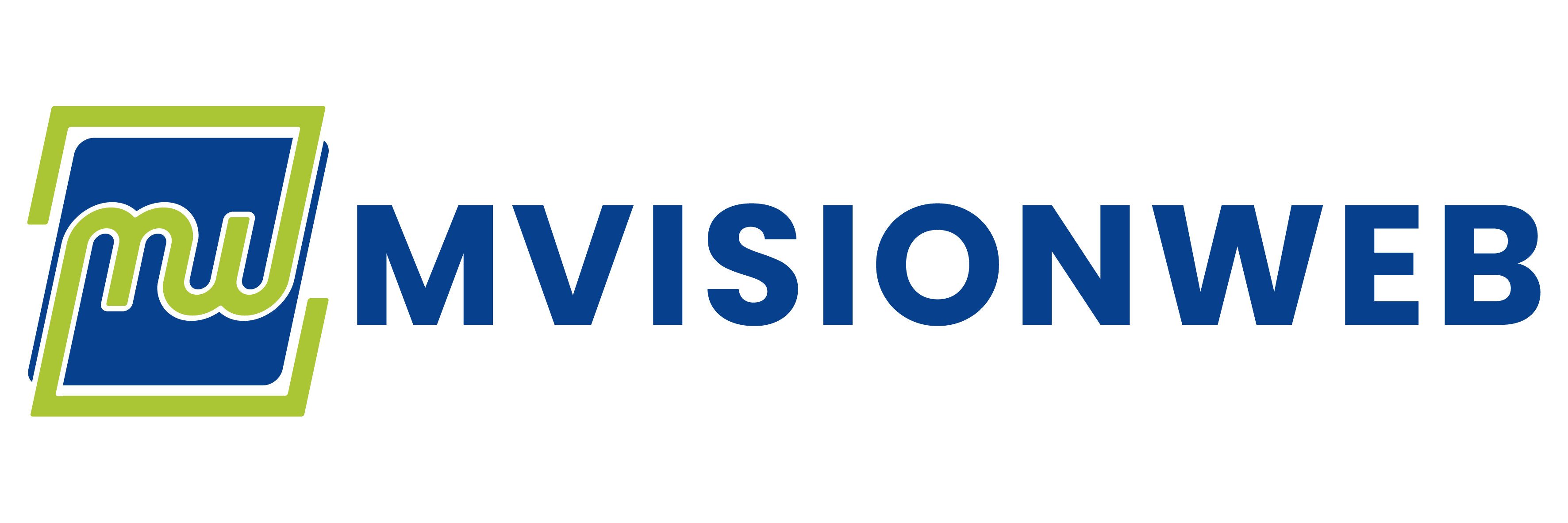 M Vision Web